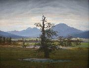 Caspar David Friedrich Landscape with Solitary Tree Spain oil painting artist